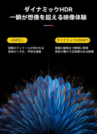 AOLION NS2 用 HDMI ケーブル DP ケーブル 投影ケーブル USB-C 4K 144Hz HDR 対応 PD100W 急速充電 Switch/PC/ノートパソコン/モニター/テレビ出力対応 映像変換ケーブル ブラック ホワイト レッド ブルー 多色展開