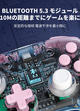 Nintendo Switch Pro用 コントローラー ワイヤレス ゲームパッド Switchコントローラー PC Windows Android iOS用  ROCOCO シリーズ Bluetooth5.3 / 2.4Ghz / Type-Cケーブル  振動 / ターボ / マクロ 多色選択可能