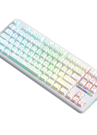 AULA F87 Pro ゲーミングキーボ  メカニカルキーボード  87キー無衝突コンパクト Bluetooth5.0/2.4Ghz/Type-Cケーブル ホットスワップ可能 EVA吸音PCB RGBバックライト 潤滑衛星 灰木軸 霊動軸 太空軸 月白軸 充電式バッテリー 多色選択可能