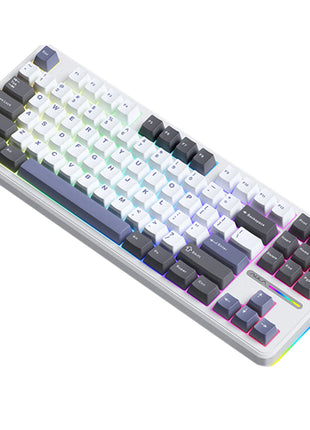 AULA F87 Pro ゲーミングキーボ  メカニカルキーボード  87キー無衝突コンパクト Bluetooth5.0/2.4Ghz/Type-Cケーブル ホットスワップ可能 EVA吸音PCB RGBバックライト 潤滑衛星 灰木軸 霊動軸 太空軸 月白軸 充電式バッテリー 多色選択可能