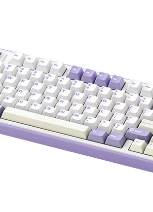 AULA F75 ゲーミングキーボード メカニカルキーボード ガスケット 80キー 無衝突コンパクト Bluetooth5.0/2.4Ghz/Type-C 5層パッド＆ノブ付き ホットスワップ可能 EVA吸音PCB リズム RGBバックライト 潤滑衛星 プログラム可能 充電式バッテリー 送料無料