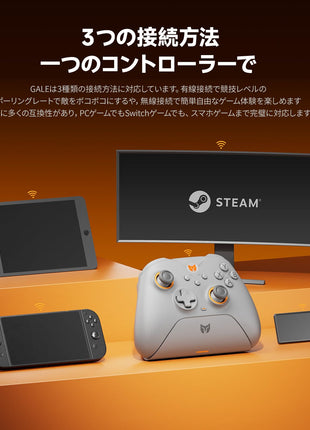 BIGBIG WON Gale-Hall コントローラー 2.4Gワイヤレス ホール効果 トリガー スティック PC 充電ベース付き Bluetooth ゲームパッド PCアプリの設定制御 4つのカスタムボタン Switch/Switch Lite/Switch OLED/Windows/Android/IOSに対応 （ブラック / ホワイト）