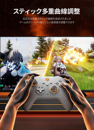 BIGBIG WON Gale-Hall コントローラー 2.4Gワイヤレス ホール効果 トリガー スティック PC 充電ベース付き Bluetooth ゲームパッド PCアプリの設定制御 4つのカスタムボタン Switch/Switch Lite/Switch OLED/Windows/Android/IOSに対応 （ブラック / ホワイト）