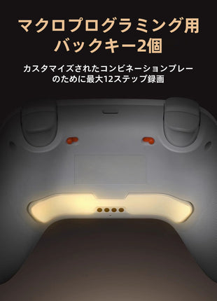 【 2.4Gドングル付き 】GameSir Nova 2 Lite コントローラー ワイヤレス プロコン PCコントローラー Switch / PC / Steam / IOS / Android 全対応 ホール効果ジョイスティック ホール効果トリガー スリーモード接続 リニアトリガー 1000Hz 三色選択可能
