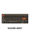 Silicon-Gray